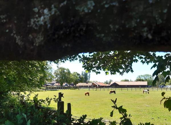 Easton Farm Park view